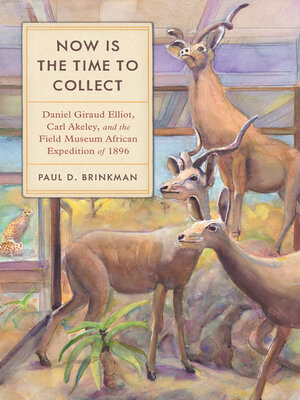 cover image of Now Is the Time to Collect